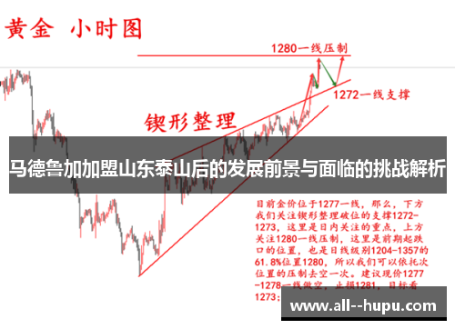 马德鲁加加盟山东泰山后的发展前景与面临的挑战解析